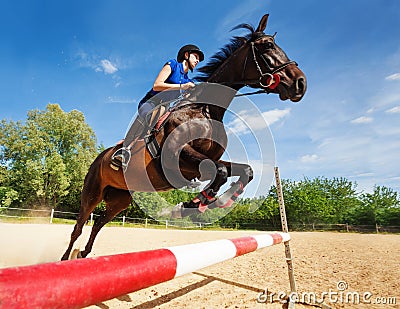 Bay horse with female rider jumping over a hurdle Stock Photo