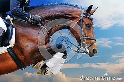 Bay horse in jumping show against blue sky Stock Photo