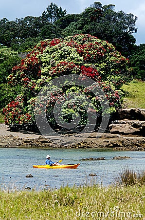 Bay of Islands - Roberton Island lagoon Editorial Stock Photo