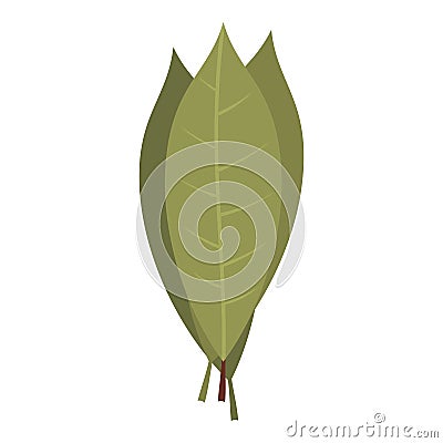 Bay laurel leaves icon isolated Vector Illustration