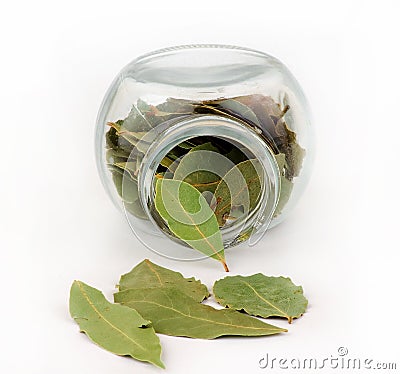 Bay leaf and glass Stock Photo