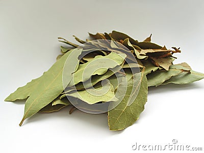 Bay leaves close-up #2 Stock Photo