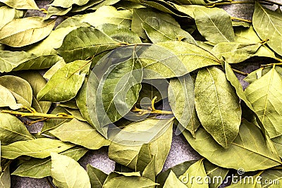 Bay leaves dried texture background Stock Photo