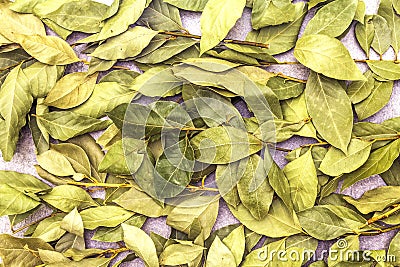 Bay leaves dried texture background Stock Photo