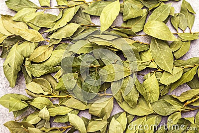 Bay leaves dried texture background Stock Photo