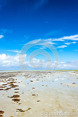 Bay at low tide Stock Photo