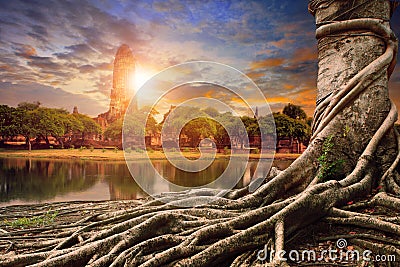Bayan tree and sunset behind old asia pagoda Stock Photo