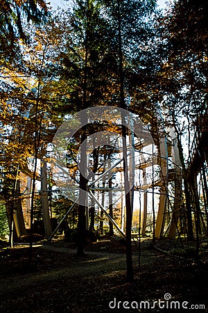 Bayerisher Wald natural park: autumnal wood Editorial Stock Photo