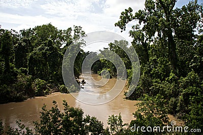 Bayou Stock Photo