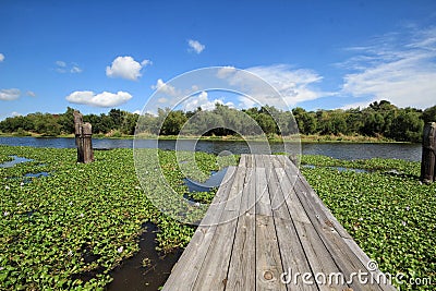 Bayou Lafourche, Louisiana Stock Photo