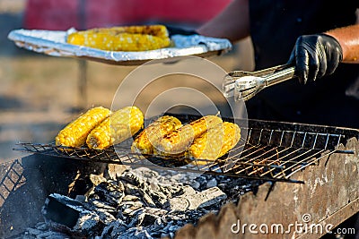 BBQ corn. Hands in gloves flip corn on an open barbecue fire. Stock Photo