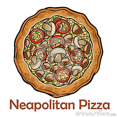 BBQ pizza with pork, chicken, bell pepper, barbecue sauce, mushroom, pesto. Neapolitan round pizza on white background Vector Illustration