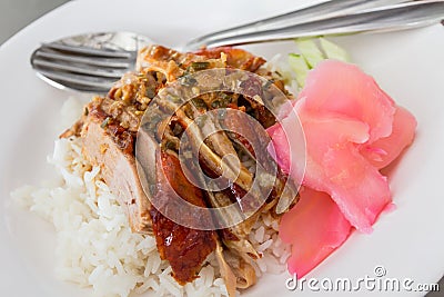 BBQ Roast Duck over Rice Stock Photo