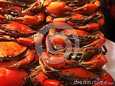 BBQ seafood series Stock Photo