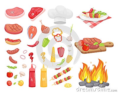 BBQ Set, Meat for Barbecue and Spice, Vector Icon Vector Illustration