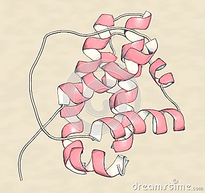 BCL-2 protein, 3D rendering. Prevents apoptosis (cell death) and Stock Photo