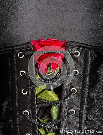 Bdsm gothic fetish corset with rose Stock Photo