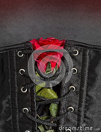 Bdsm gothic fetish corset with rose Stock Photo