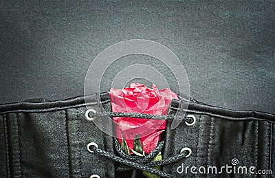 Bdsm gothic fetish corset with rose Stock Photo