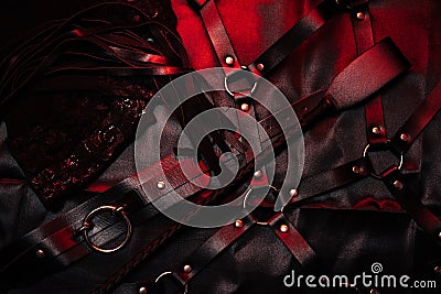 BDSM set with leather whip and Flogger, belt and choker Stock Photo