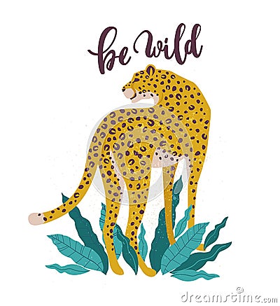 Be Wild slogan. Leopard. Typography graphic print, fashion drawing for t-shirts. Vector stickers, print, patches vintage Vector Illustration