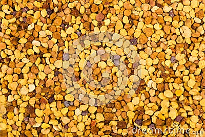 Bea gathered pollen granules Stock Photo