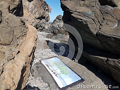 Beach Stock Photo