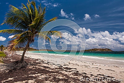 Beach of Anse Trabaud, Martinique Stock Photo