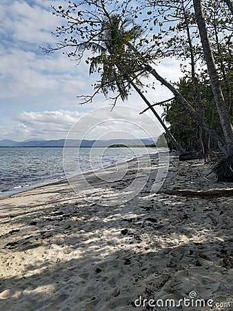 Beach Australia sand palm nature Stock Photo