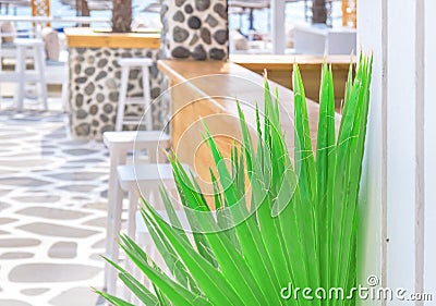 Beach bar close with green reed Stock Photo