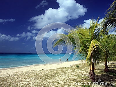 Beach at Barbados Stock Photo