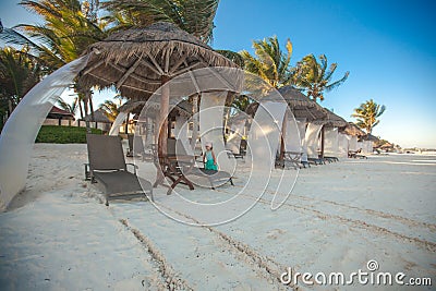 Beach beds near big palmtree at tropical exotic Stock Photo