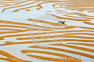 Beach breeding Stock Photo