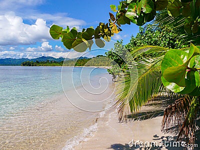 Beach in Cahuita National Park Stock Photo