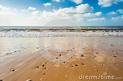 Beach Stock Photo