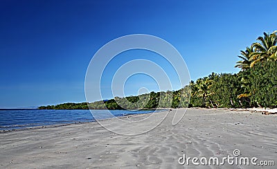 Beach at Cape Tribulation Stock Photo