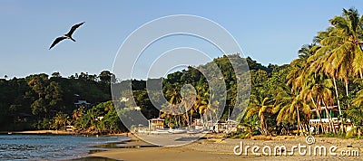 Beach of Castara Village Tobago Stock Photo