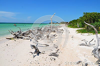 Beach at Cayo JutÃ­as Stock Photo