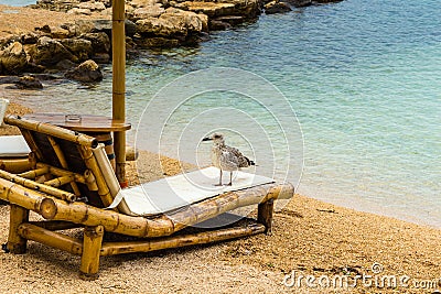 Beach chair and umbrella on sand beach. Concept for rest, relaxation, holidays, spa, resort Stock Photo