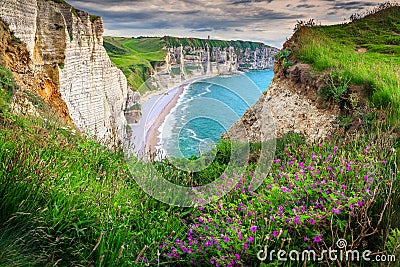 Beach and cliffs of Etretat with colorful spring flowers, France Stock Photo