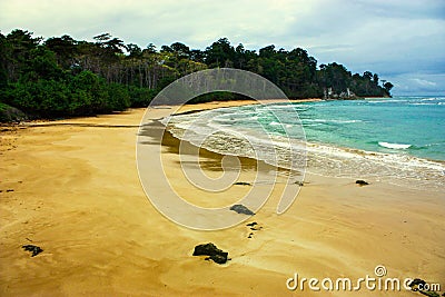 Beach with cloudy sky and lush forest Stock Photo