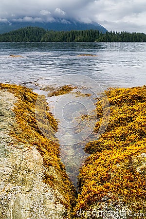 Beach and coastline in the Broken Group Islands, off the west co Stock Photo