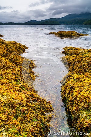 Beach and coastline in the Broken Group Islands, off the west co Stock Photo