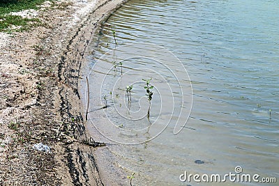 The beach is contaminated with oil from the boat. Causing marine animals to die Stock Photo