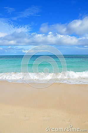 Beach at Corralejo - Fuerteventura - Canary Island Stock Photo