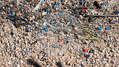 Beach covered in snail shells and plastic rubbish under sunlight Stock Photo