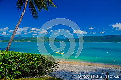 Beach on Daydream Island, Whitsunday Islands Stock Photo