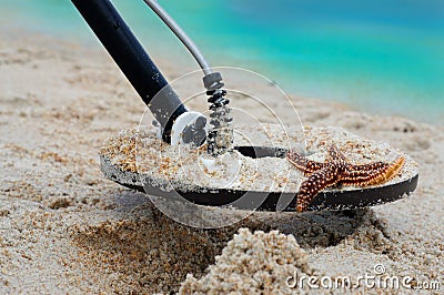 Metal Detecting Stock Photo