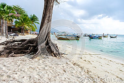 beach erosion on the beach of Koh Lipe Thailand Editorial Stock Photo