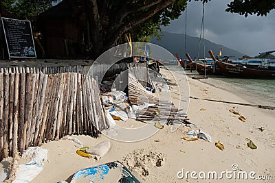beach erosion on the beach of Koh Lipe Thailand Editorial Stock Photo